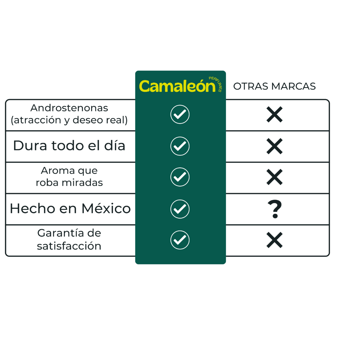 SET CAMALEÓN