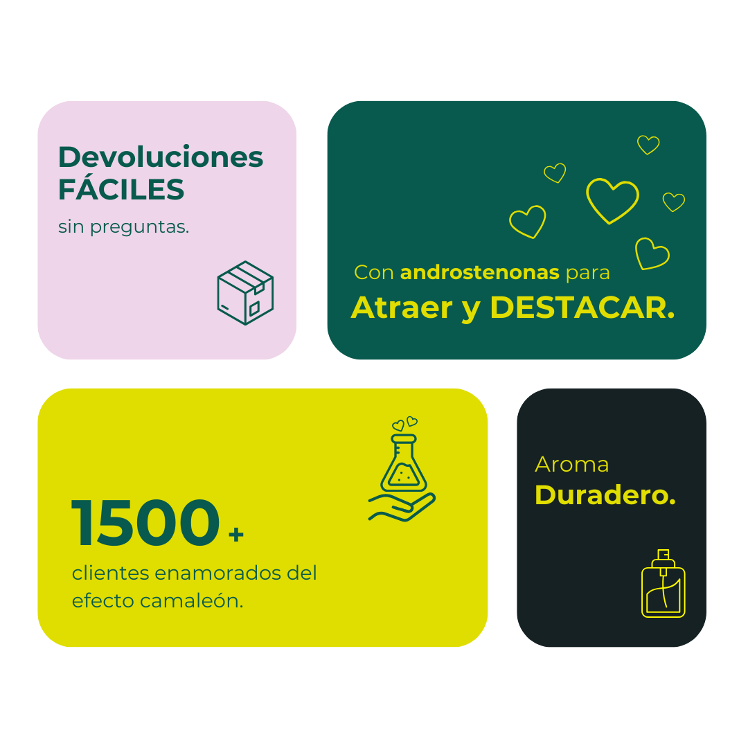 SET CAMALEÓN