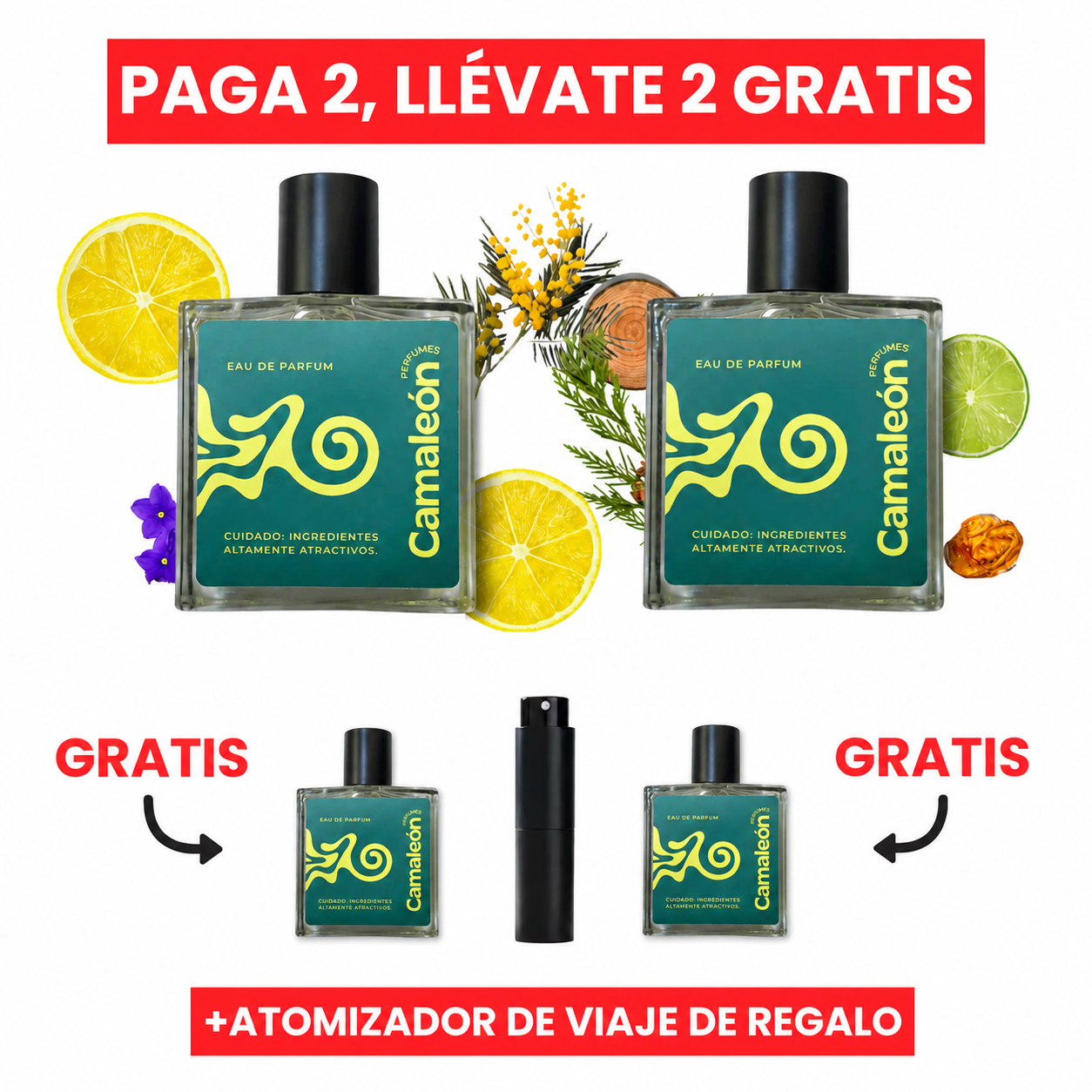 SET CAMALEÓN