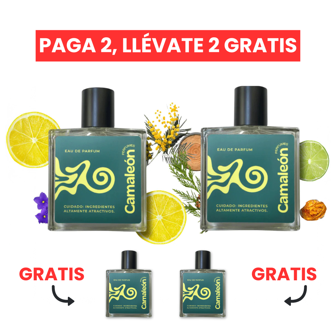 SET CAMALEÓN